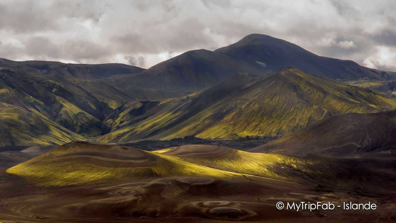 17434941_673912142791073_274187972809058685_o