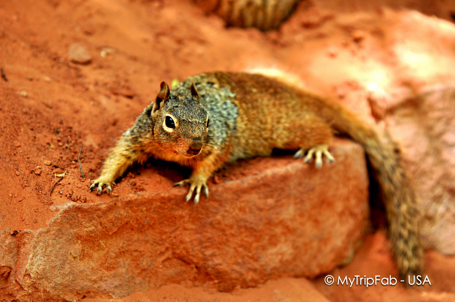 USA.2008-06-08_22-21-45 copie copie