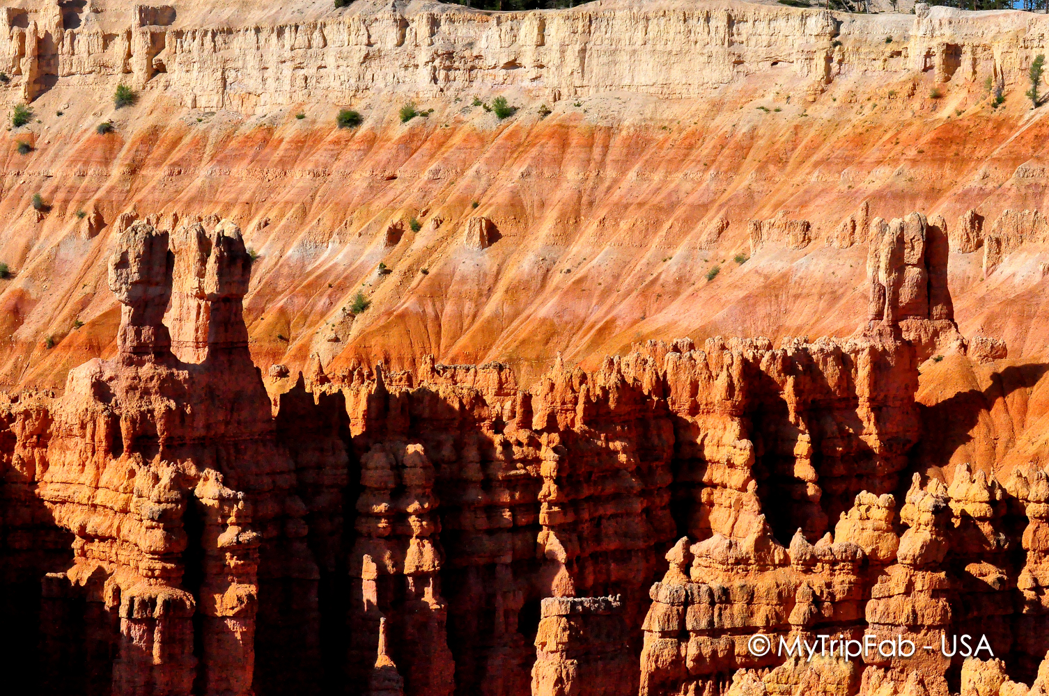 USA.2010-06-08_17-19-29 copie