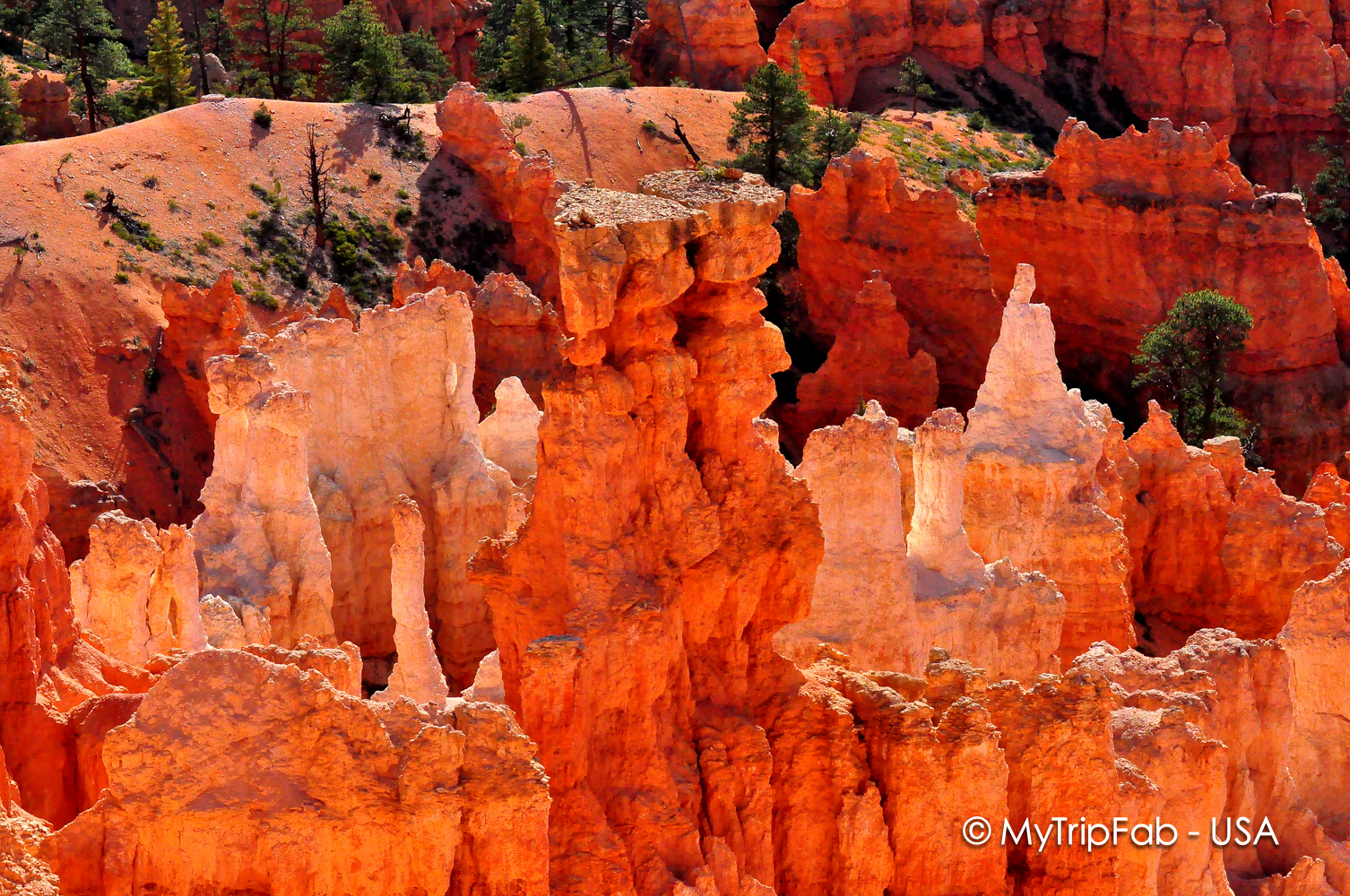 USA.2010-06-08_17-25-22 copie