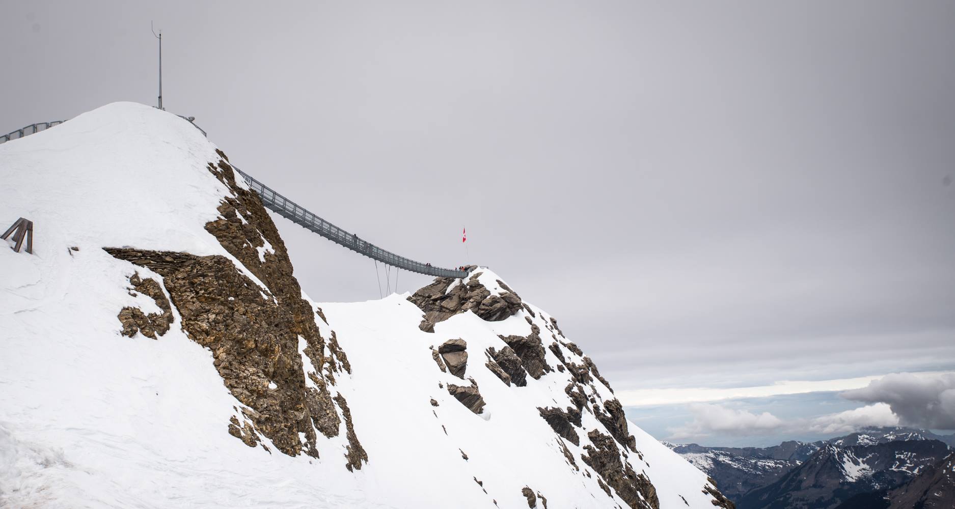 17972053_687614721420815_7810806282072669089_o