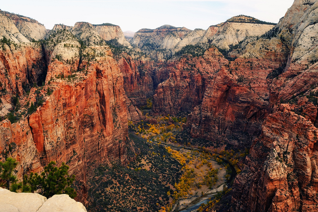 Looking North from Angels Landing