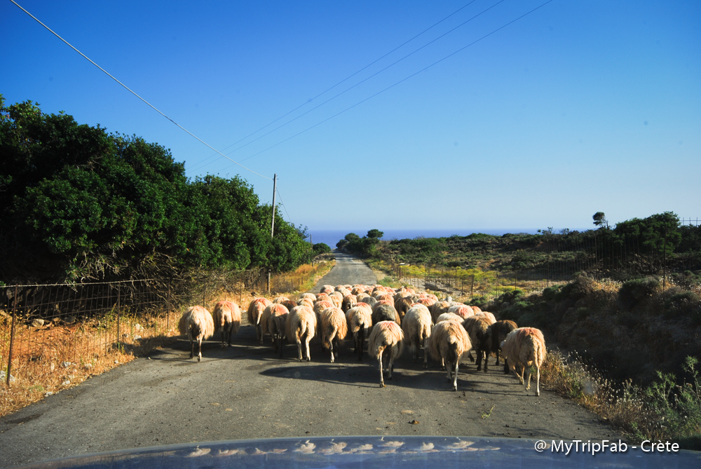Road trip en Crète