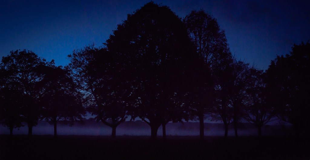 Lac du der grue cendrée