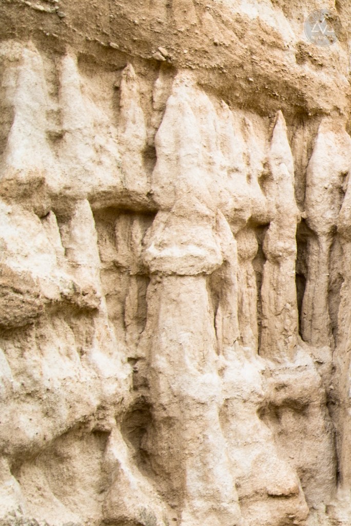 Orgues Ille-sur-Têt