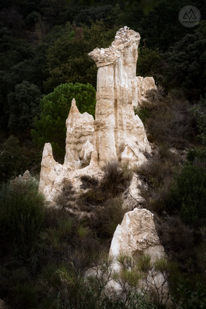 Orgues Ille-sur-Têt