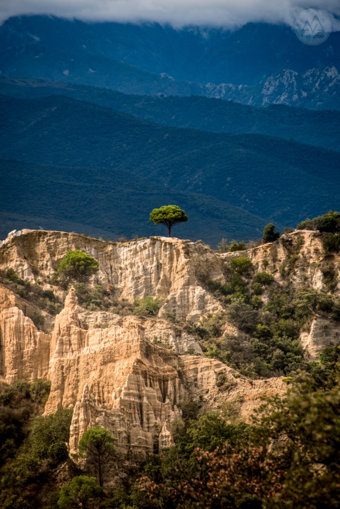 Orgues Ille-sur-Têt
