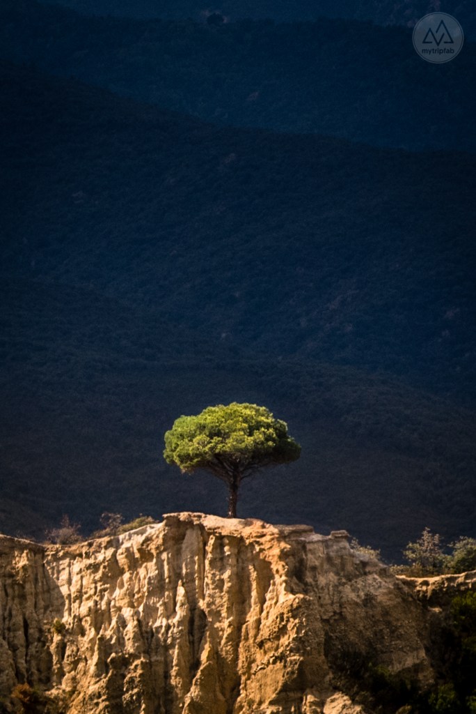 Orgues Ille-sur-Têt