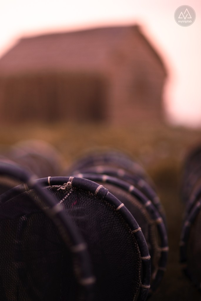 étang de canet st-nazaire