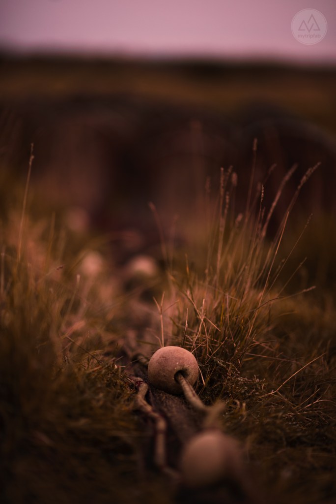 étang de canet st-nazaire