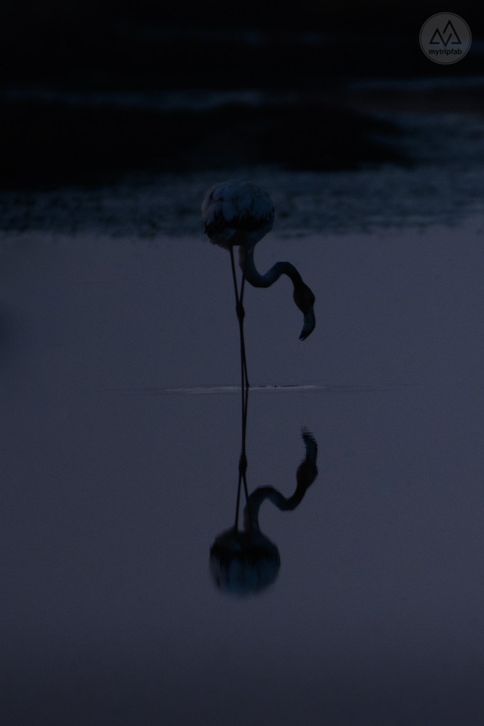 étang de canet st-nazaire