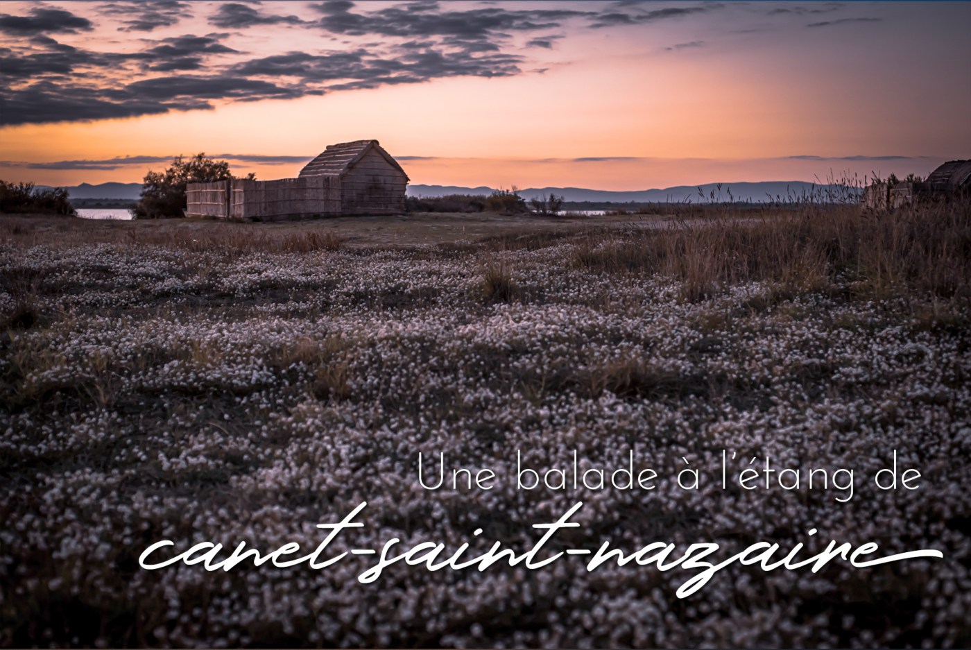 étang de canet st-nazaire